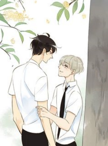 握神剑御帝凰杀疯三界谁敢惹?(黄家银)女频热门小说合集_无畏无惧,执剑护情,热血与友情交织的炫酷冒险之旅